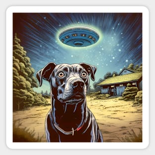 UFOs 2: My Dog Thinks UFOs Are Real Sticker